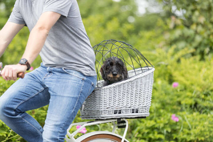 TRIXIE Hunde-Fahrradkorb für Gepäckträger